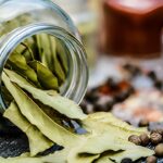 дафинов лист