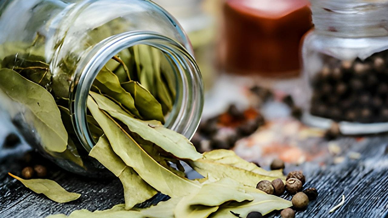 дафинов лист