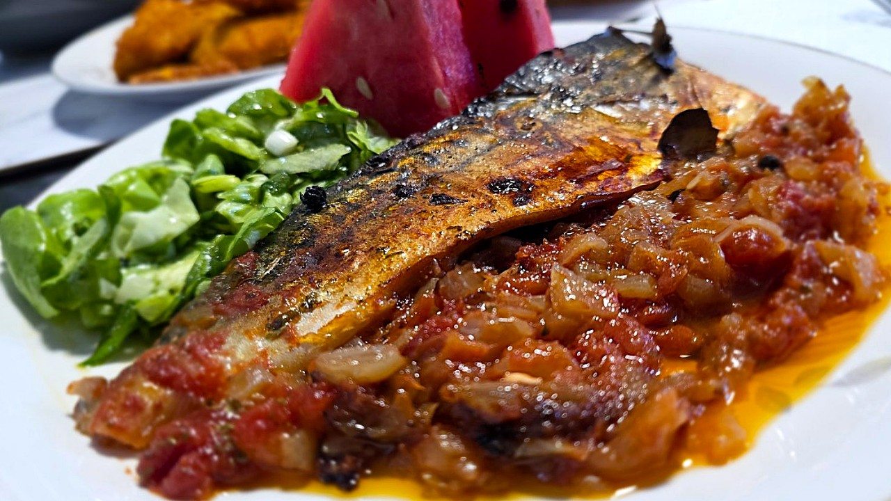 Скумрия плакия